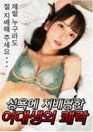 镜像者韩剧在线免费观看海报